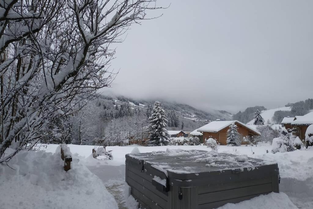 A4 Km De Megeve Tres Joli Studio Avec Jacuzzi ,Vue Sur Les Montagnes Au Calme Praz-sur-Arly Buitenkant foto