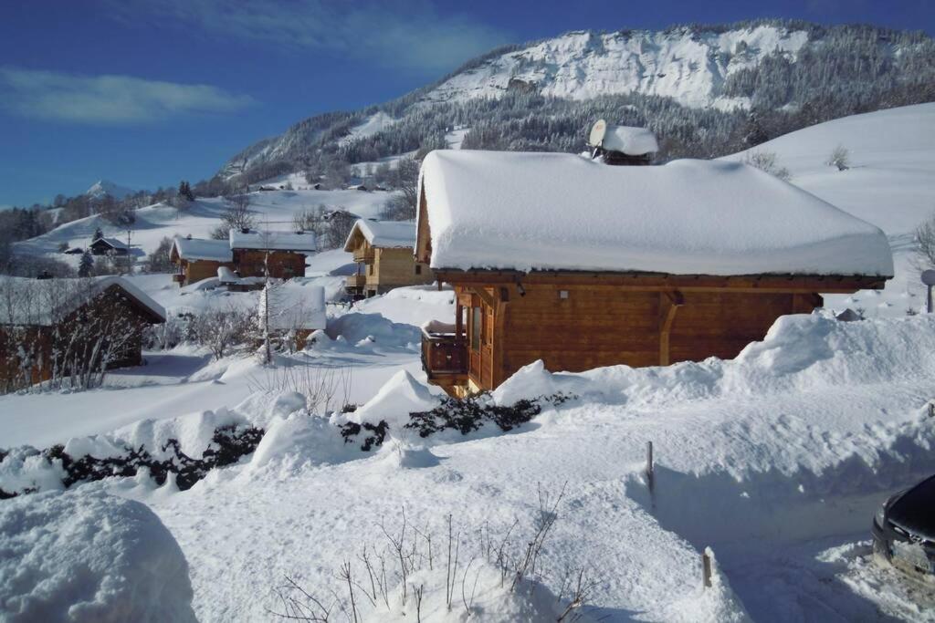 A4 Km De Megeve Tres Joli Studio Avec Jacuzzi ,Vue Sur Les Montagnes Au Calme Praz-sur-Arly Buitenkant foto