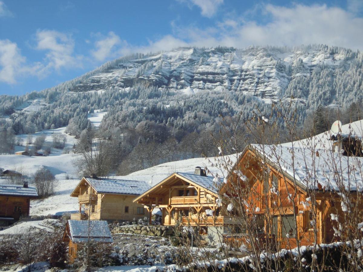 A4 Km De Megeve Tres Joli Studio Avec Jacuzzi ,Vue Sur Les Montagnes Au Calme Praz-sur-Arly Buitenkant foto