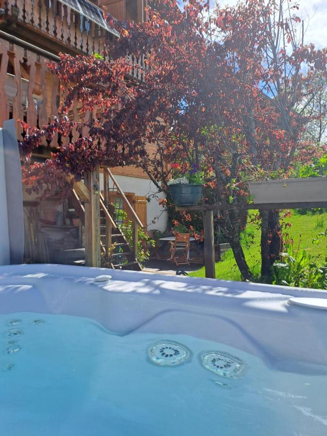 A4 Km De Megeve Tres Joli Studio Avec Jacuzzi ,Vue Sur Les Montagnes Au Calme Praz-sur-Arly Buitenkant foto